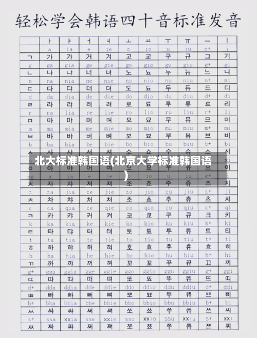 北大标准韩国语(北京大学标准韩国语)-第2张图片