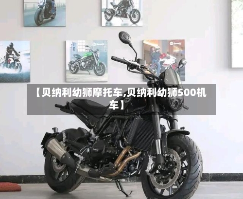 【贝纳利幼狮摩托车,贝纳利幼狮500机车】