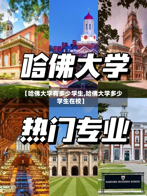 【哈佛大学有多少学生,哈佛大学多少学生在校】-第2张图片