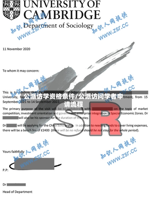 公派访学资格条件/公派访问学者申请流程