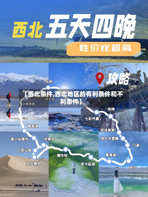 【西北条件,西北地区的有利条件和不利条件】