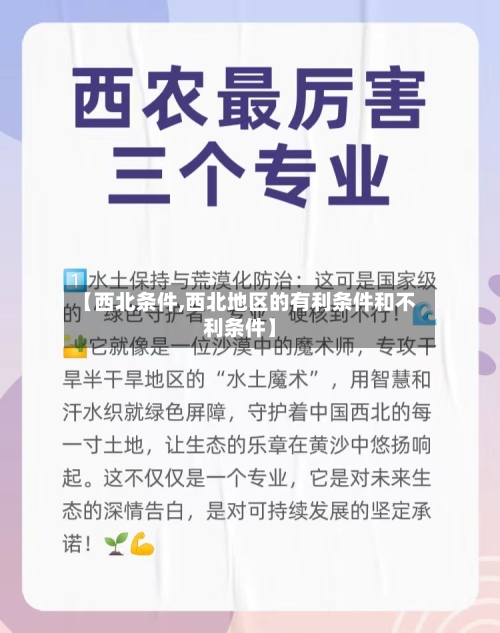【西北条件,西北地区的有利条件和不利条件】-第2张图片