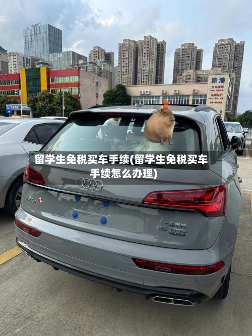 留学生免税买车手续(留学生免税买车手续怎么办理)-第2张图片