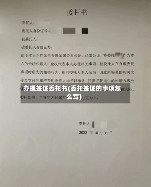 办理签证委托书(委托签证的事项怎么写)-第2张图片