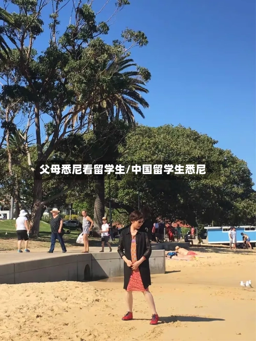 父母悉尼看留学生/中国留学生悉尼