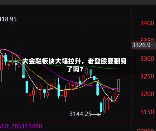 大金融板块大幅拉升，老登股要翻身了吗？