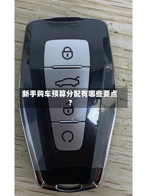 新手购车预算分配有哪些要点?-第2张图片