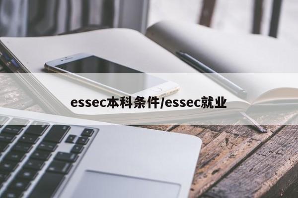 essec本科条件/essec就业