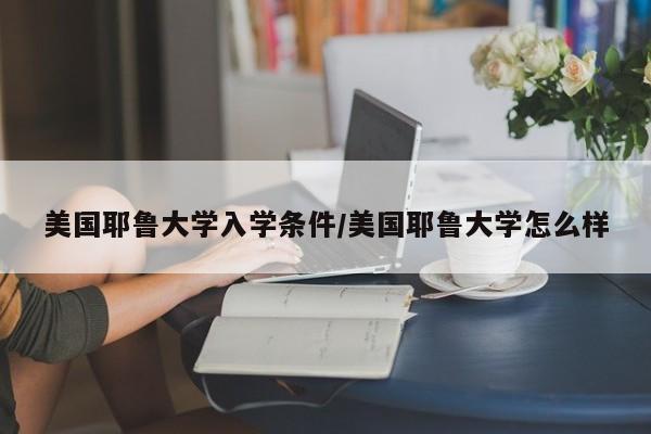 美国耶鲁大学入学条件/美国耶鲁大学怎么样
