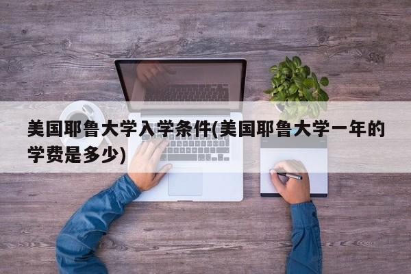 美国耶鲁大学入学条件(美国耶鲁大学一年的学费是多少)
