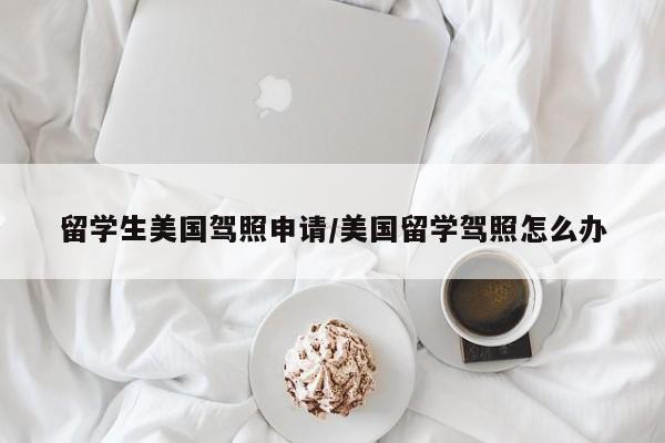 留学生美国驾照申请/美国留学驾照怎么办
