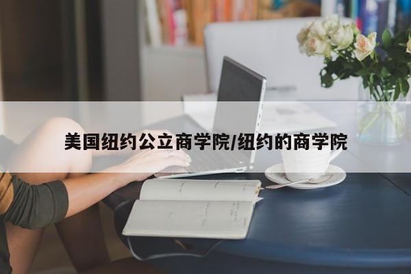美国纽约公立商学院/纽约的商学院