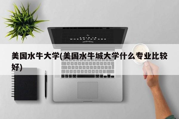 美国水牛大学(美国水牛城大学什么专业比较好)