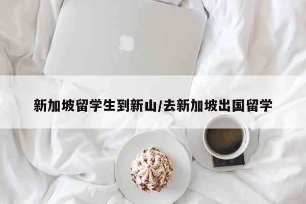 新加坡留学生到新山/去新加坡出国留学