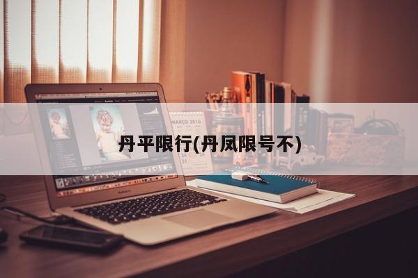 丹平限行(丹凤限号不)