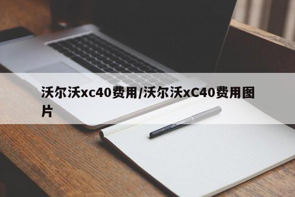 沃尔沃xc40费用/沃尔沃xC40费用图片