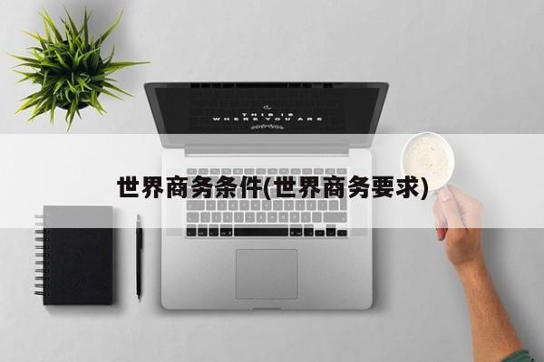 世界商务条件(世界商务要求)